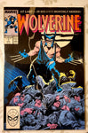 *NEW* GOLD Mystery Box 2025 (Grand Prize: ASM #300)