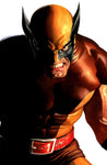 Wolverine #6 - 1st Solem (Alex Ross Timeless Variant)